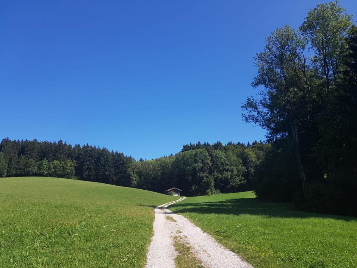 Ferienhaus Chiemgauer Auszeit- Chiemgaukarte Inclusive Siegsdorf Eksteriør billede