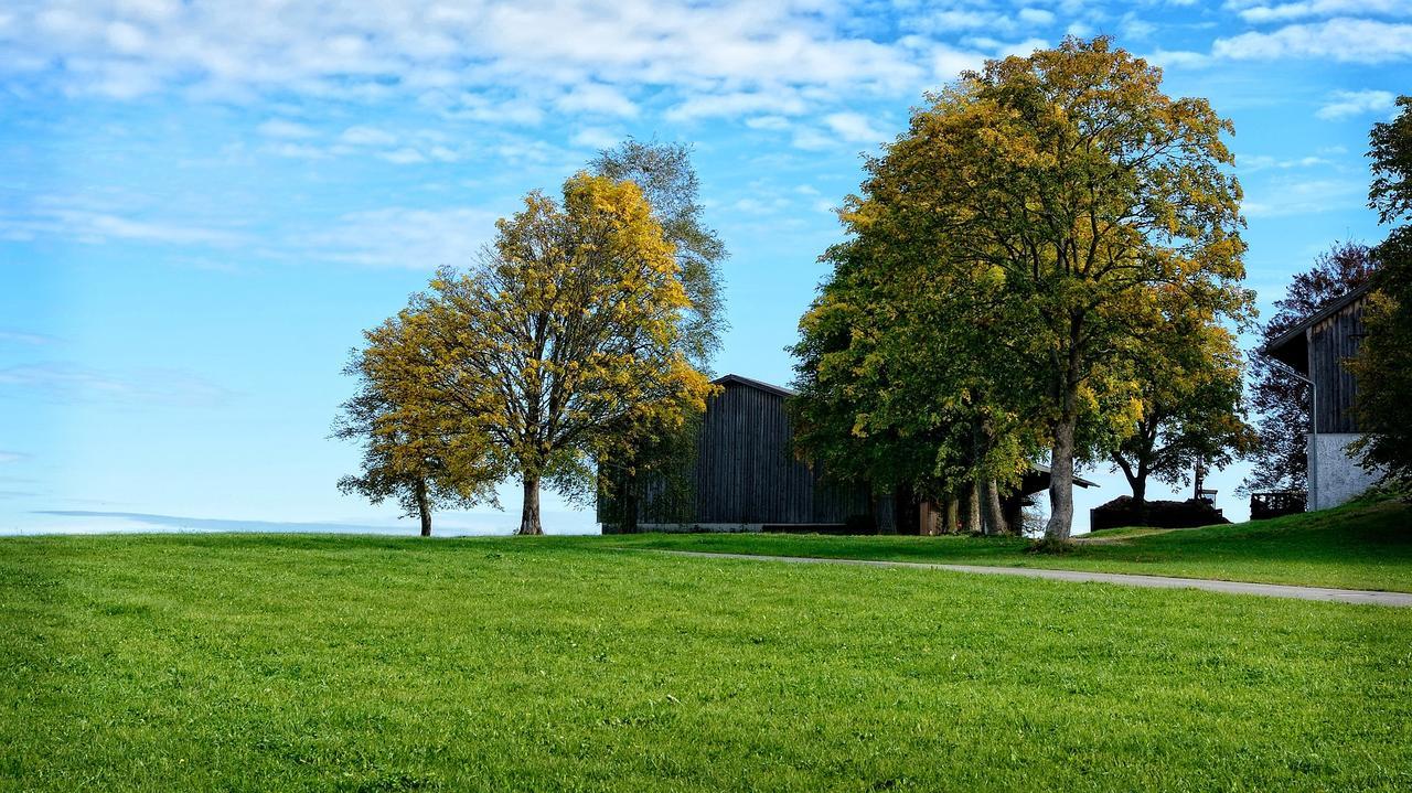 Ferienhaus Chiemgauer Auszeit- Chiemgaukarte Inclusive Siegsdorf Eksteriør billede